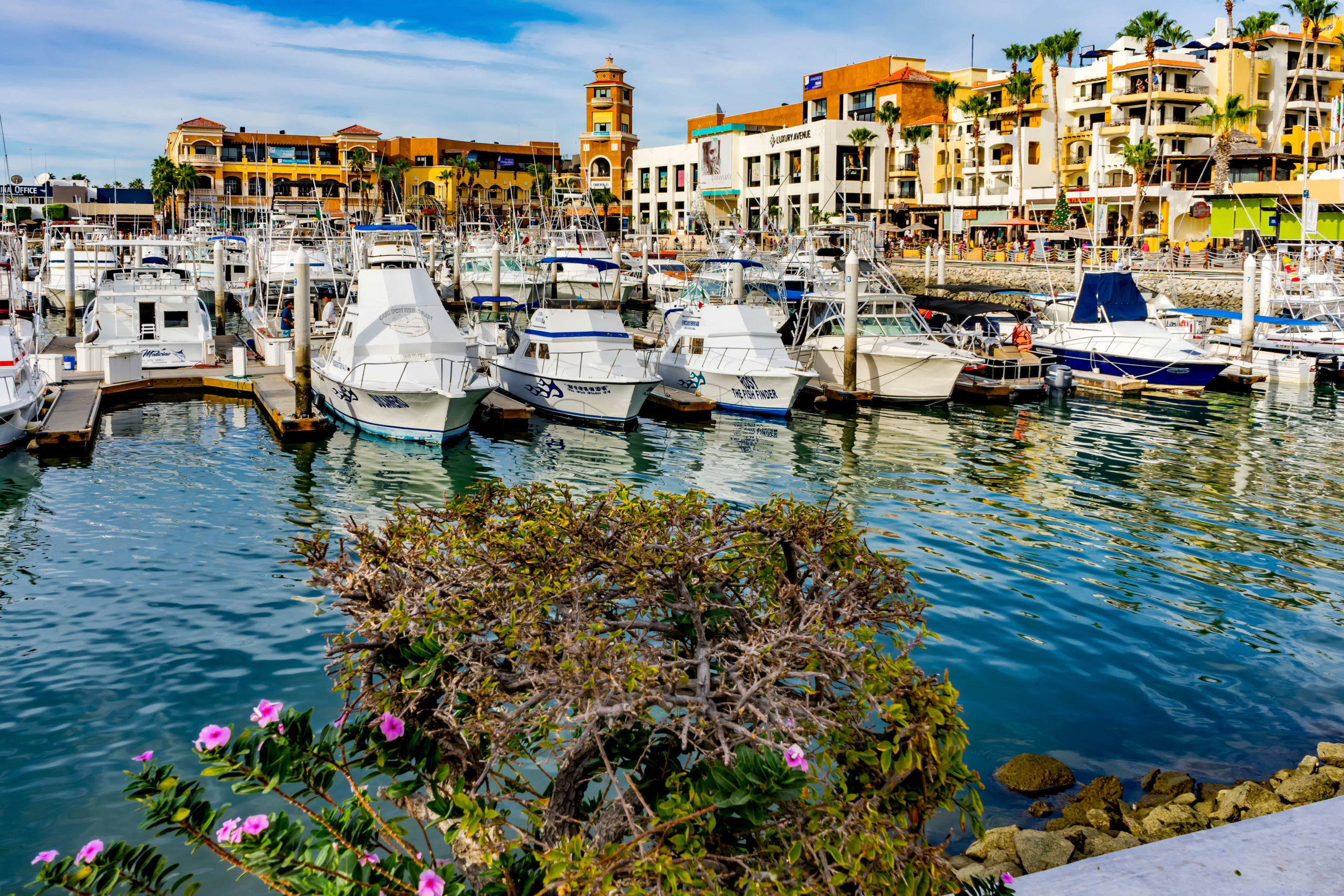 Cabo Marina (1) Cabo San Lucas Marina