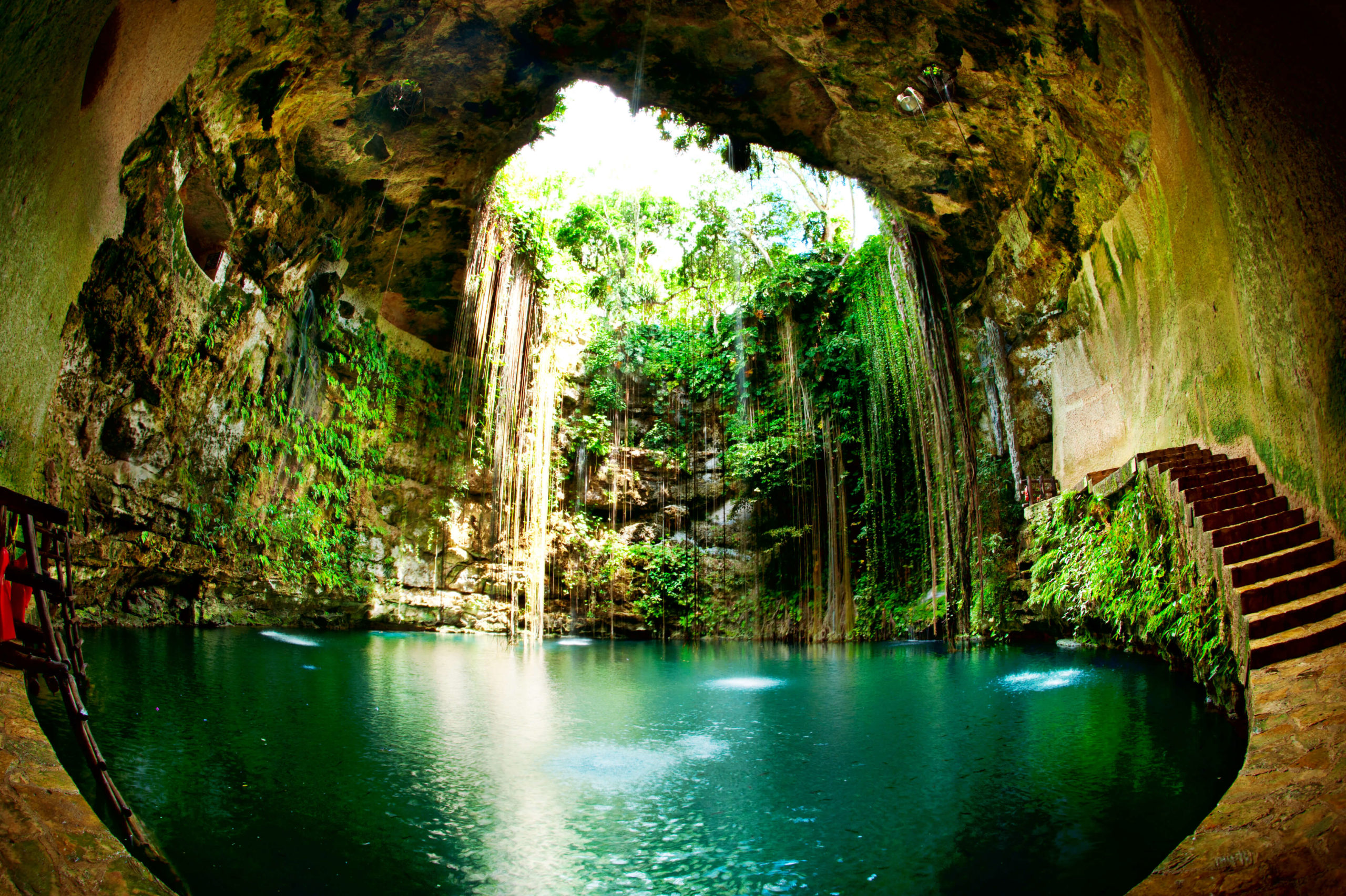 Cenote Mexico Cenote Mexico