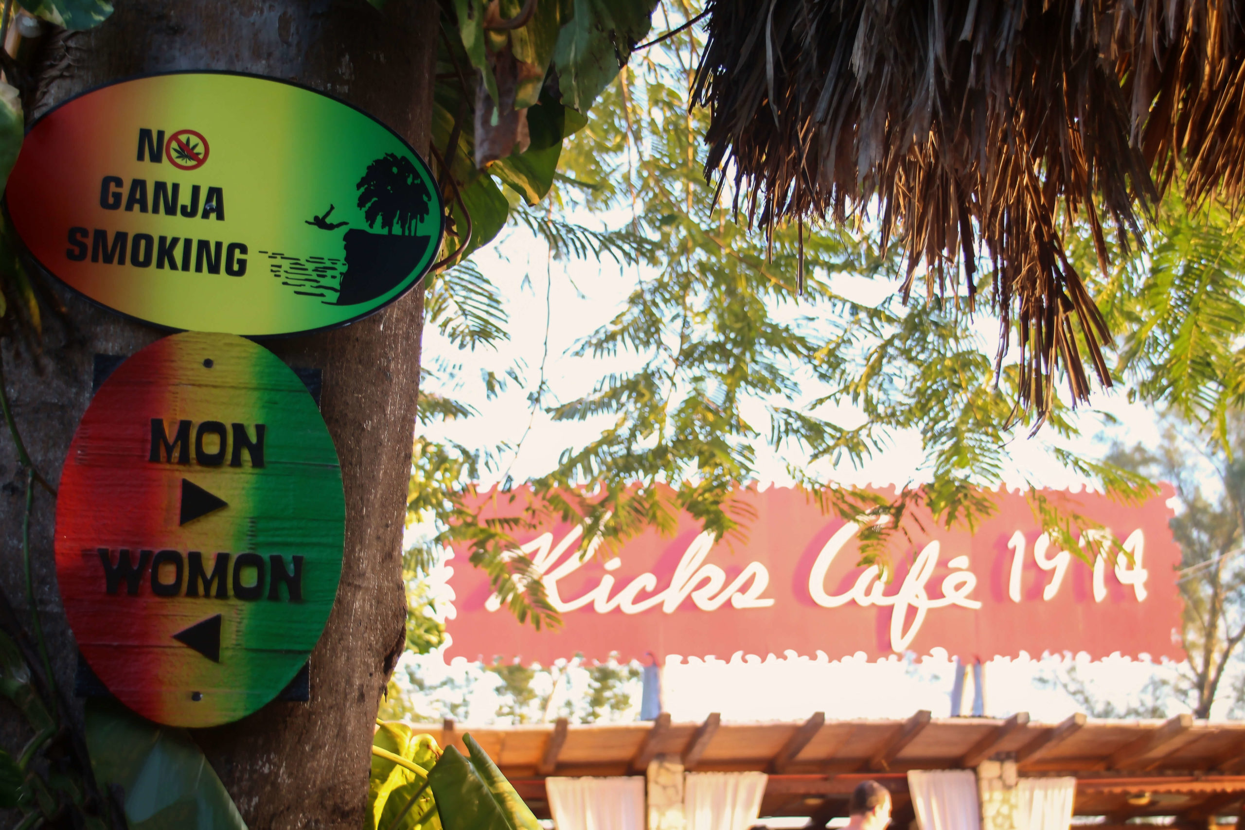Depositphotos_294522302_xl-2015 Ricks Cafe Negril Excursion